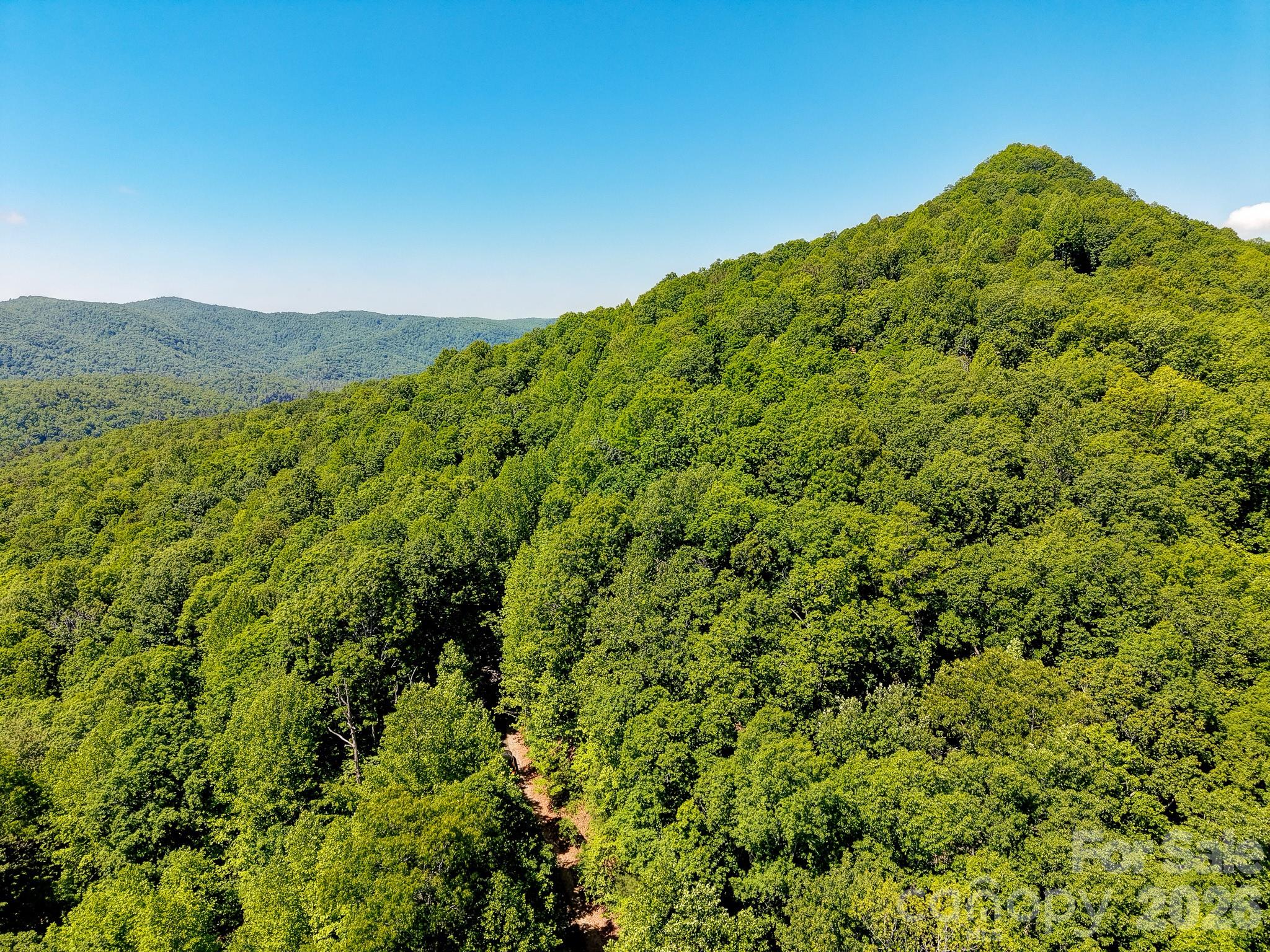 99999 Black Bear Ridge Trail Zirconia NC 28790