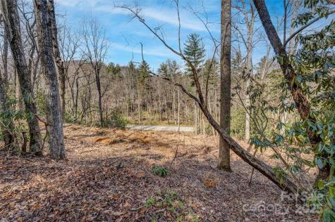 99999 Christa Lane Arden NC 28742