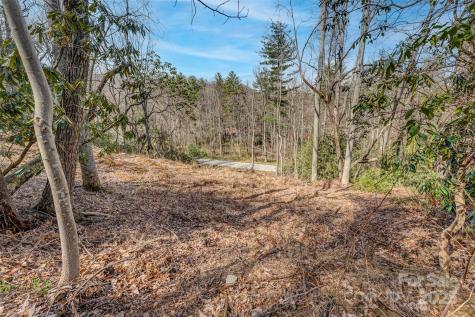 99999 Christa Lane Arden NC 28742