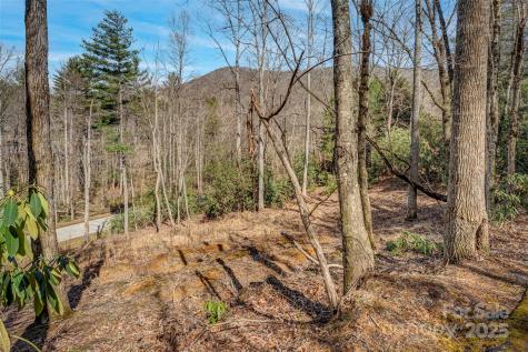 99999 Christa Lane Arden NC 28742