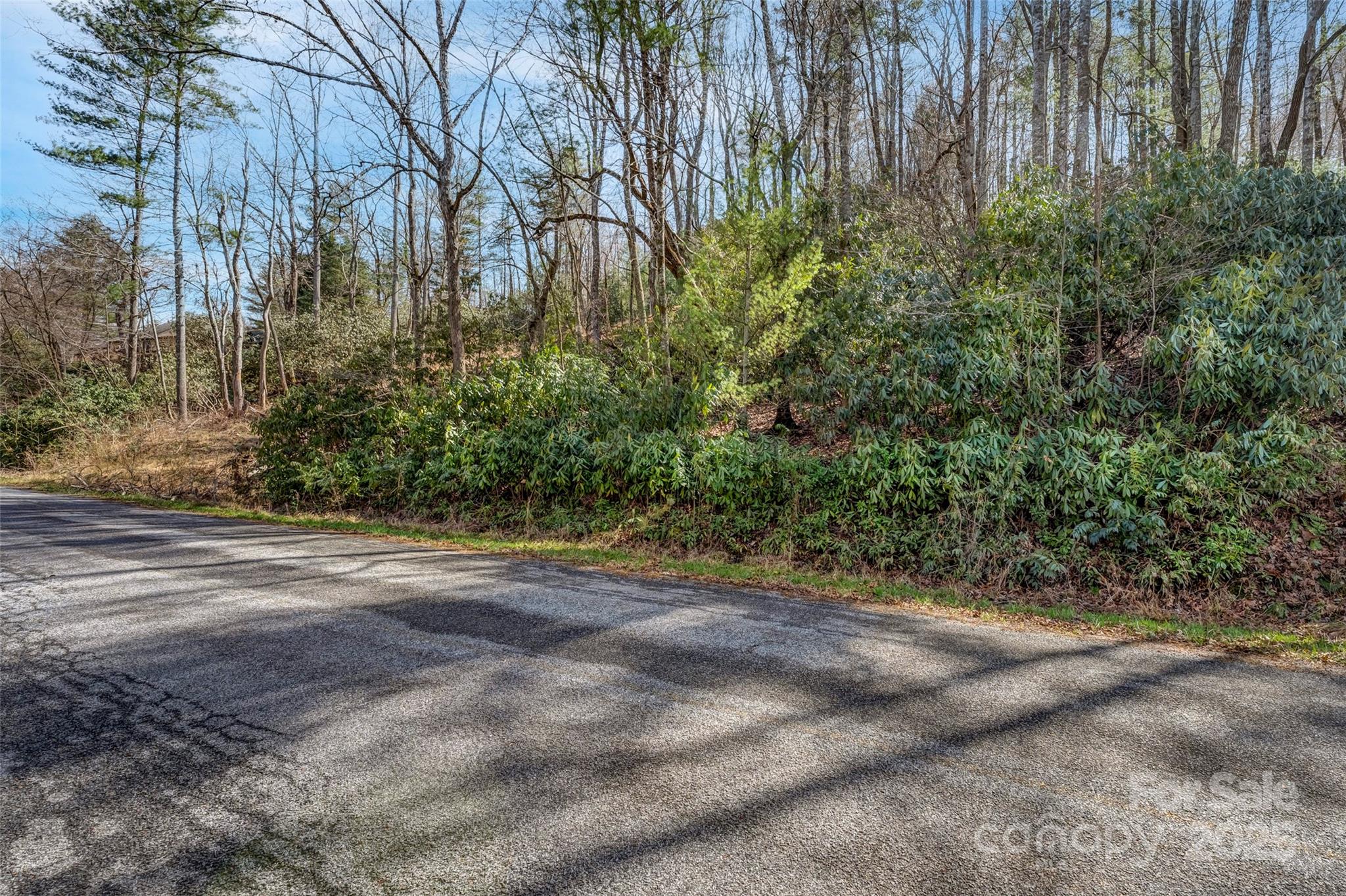 99999 Christa Lane Arden NC 28742