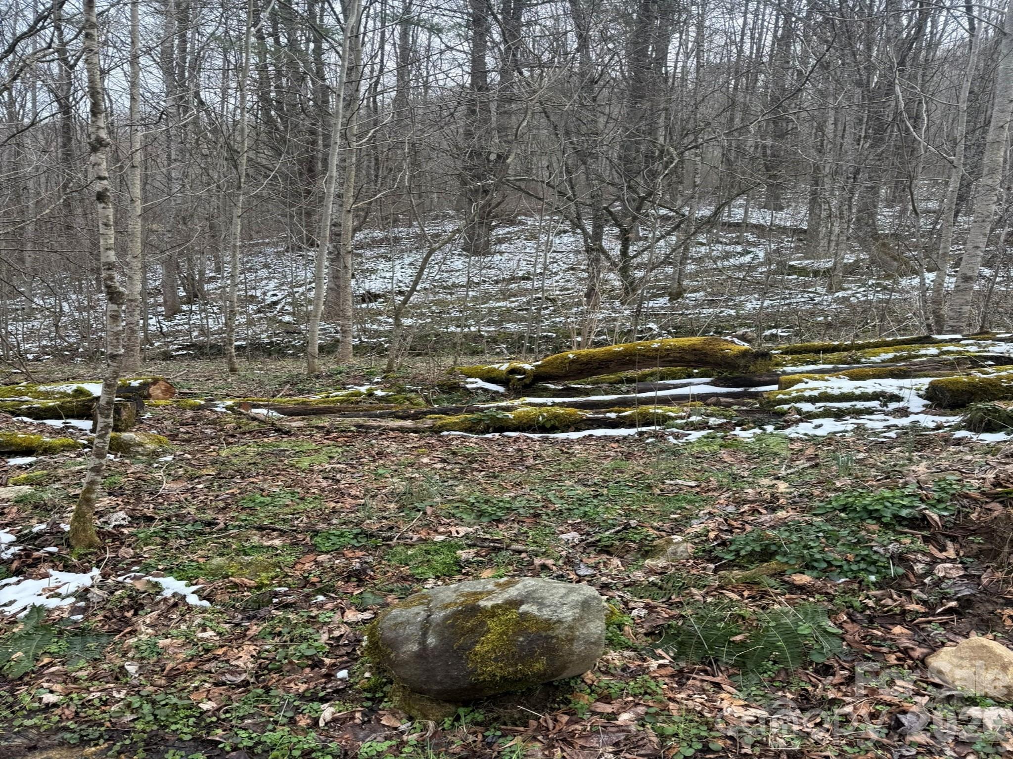 Tbd 1.2 Acres Jass Cove Road Marshall NC 28753
