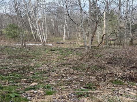 Tbd 1.2 Acres Jass Cove Road Marshall NC 28753