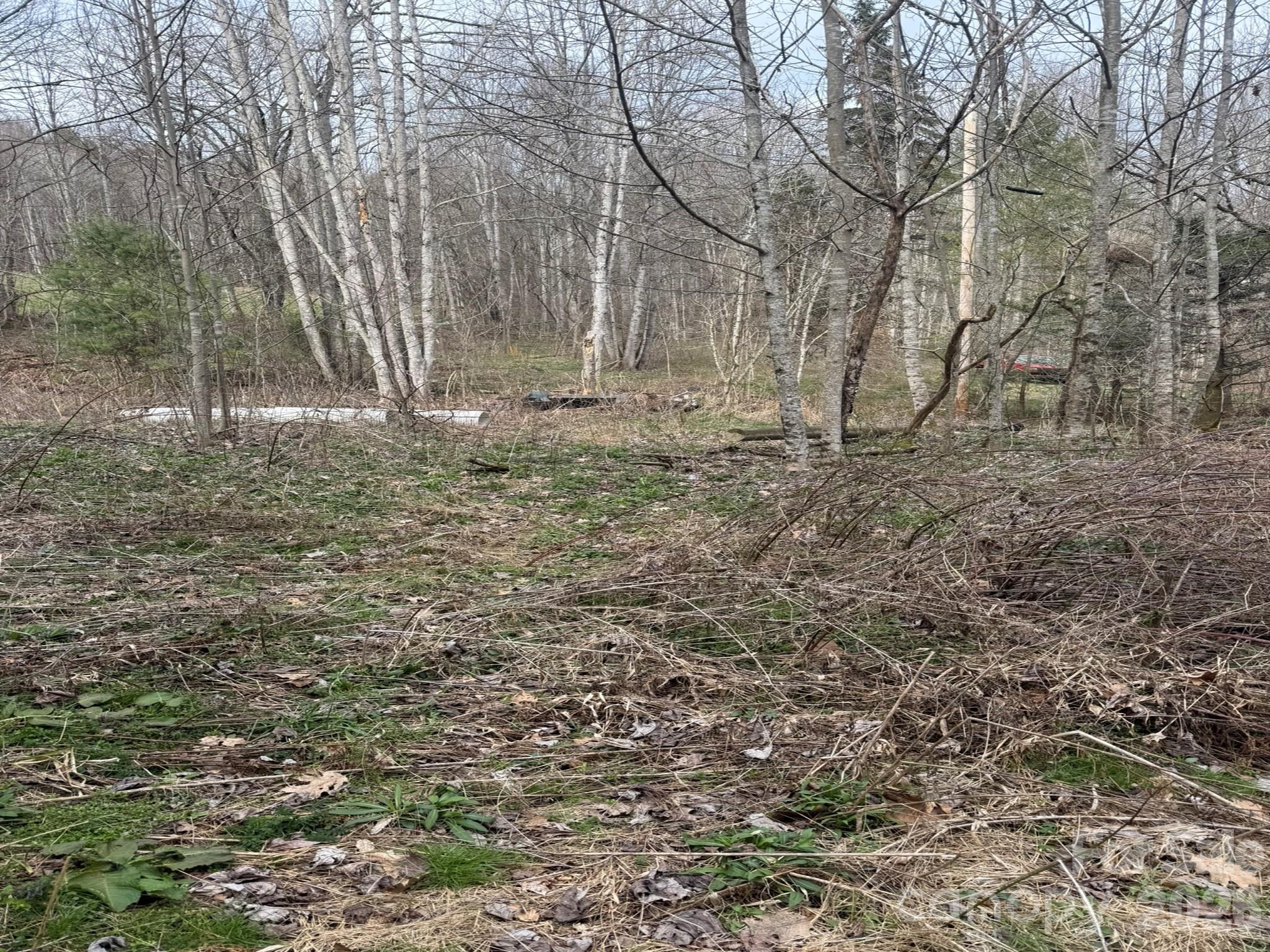 Tbd 1.2 Acres Jass Cove Road Marshall NC 28753