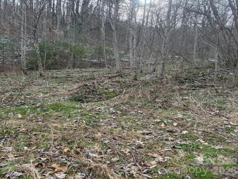 Tbd 1.2 Acres Jass Cove Road Marshall NC 28753