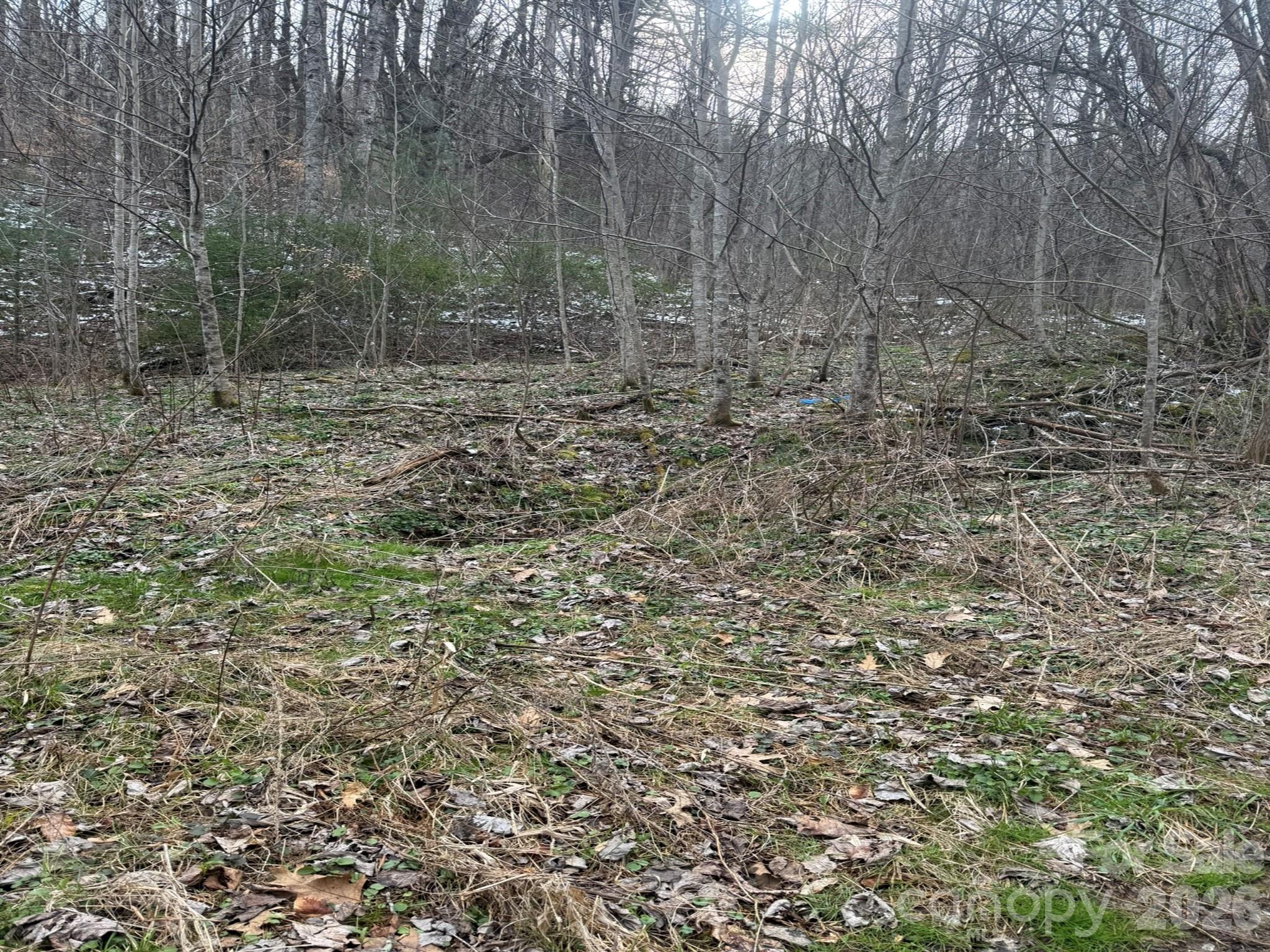 Tbd 1.2 Acres Jass Cove Road Marshall NC 28753