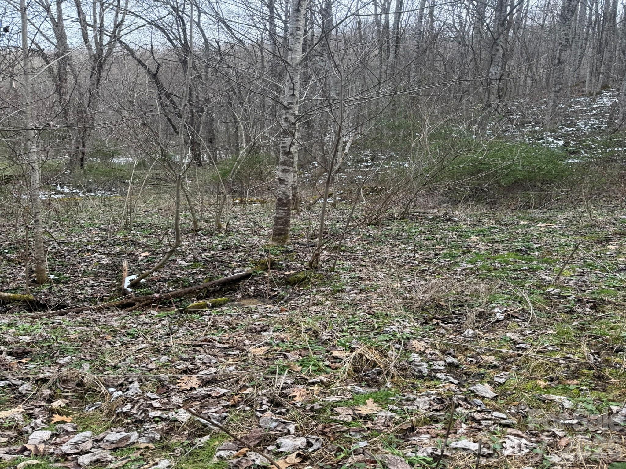 Tbd 1.2 Acres Jass Cove Road Marshall NC 28753