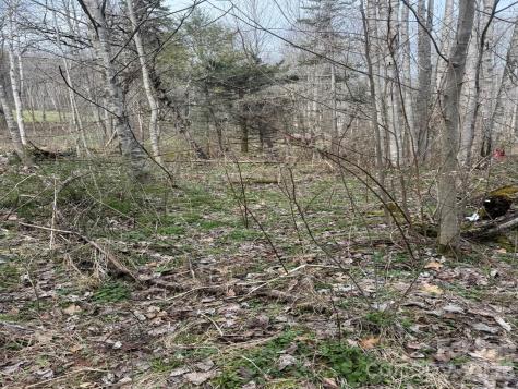 Tbd 1.2 Acres Jass Cove Road Marshall NC 28753
