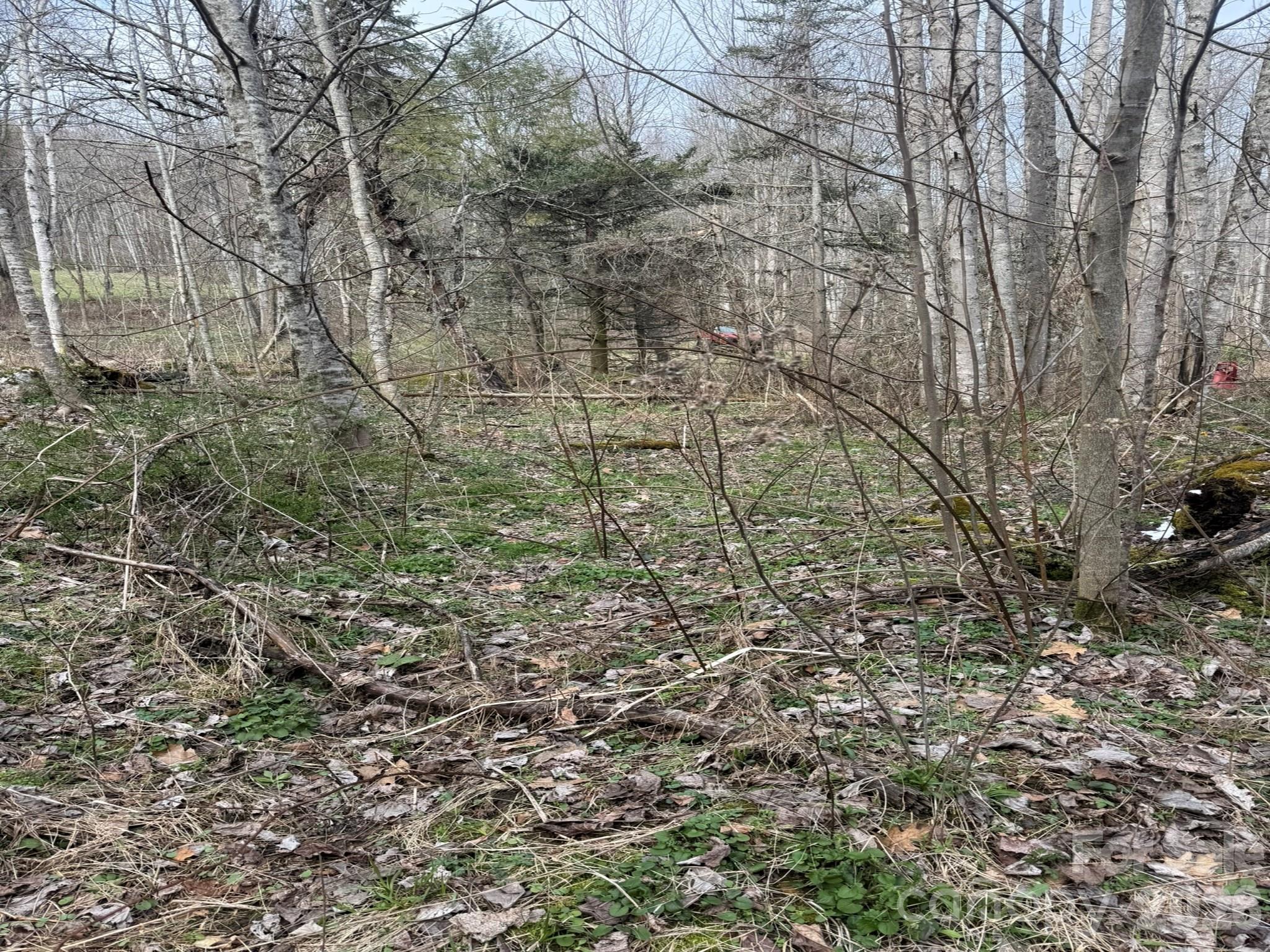 Tbd 1.2 Acres Jass Cove Road Marshall NC 28753