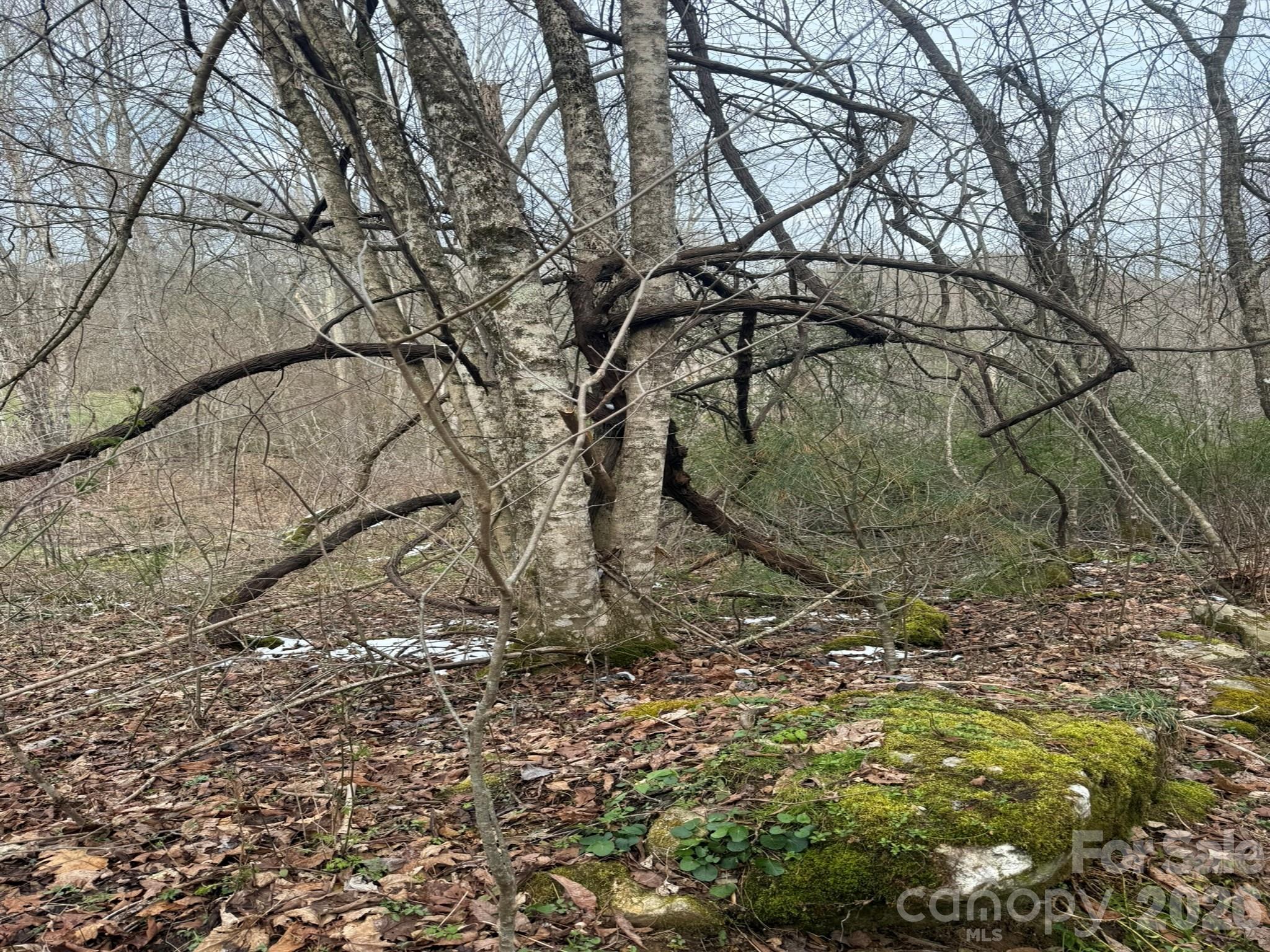 Tbd 1.2 Acres Jass Cove Road Marshall NC 28753