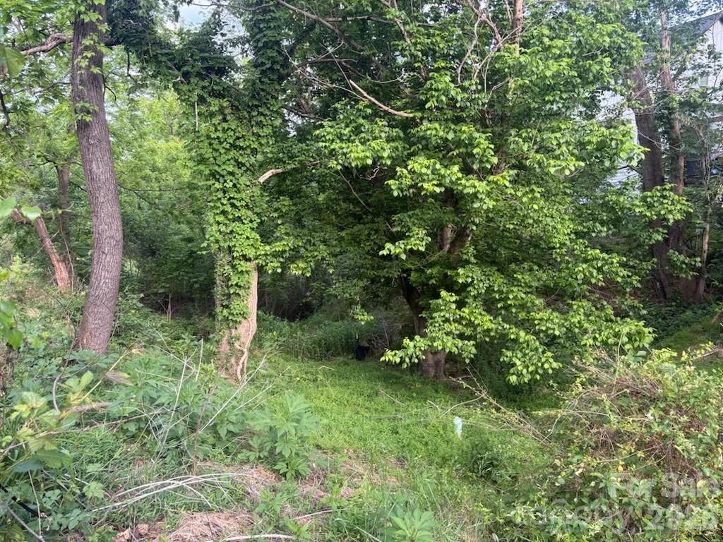 111 Waynesville Avenue Asheville NC 28806