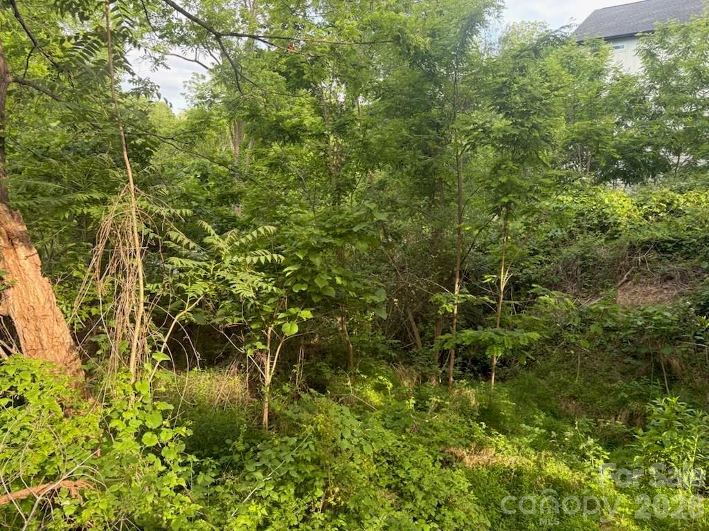 111 Waynesville Avenue Asheville NC 28806