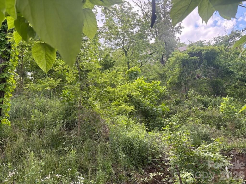 111 Waynesville Avenue Asheville NC 28806