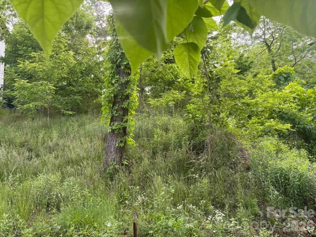 111 Waynesville Avenue Asheville NC 28806