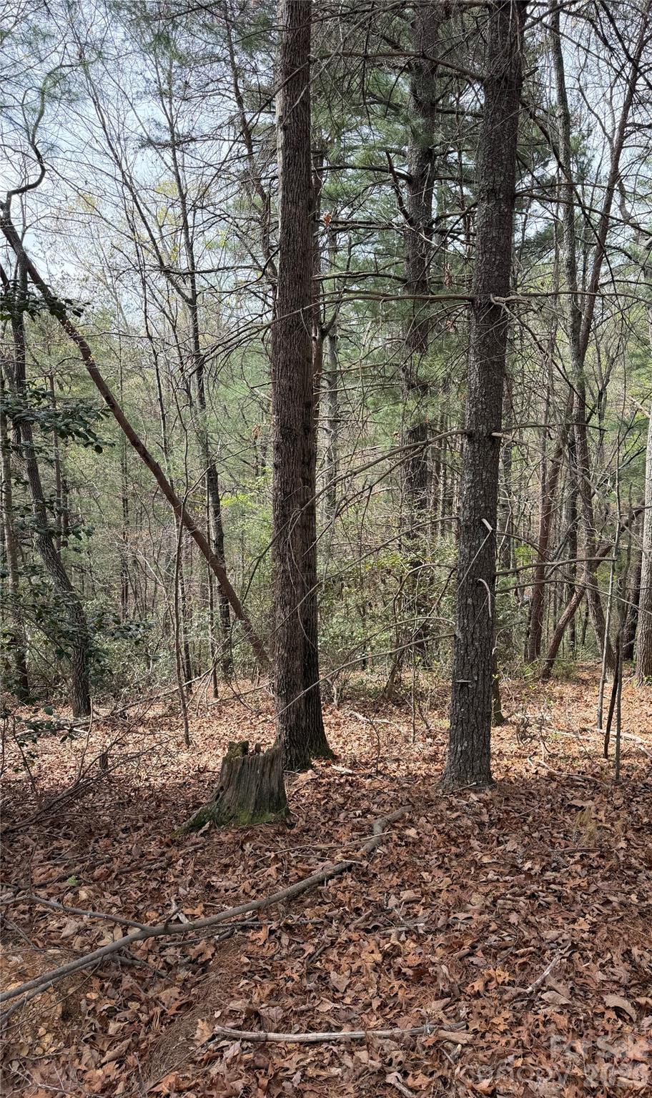5080 Tucker Drive Morganton NC 28655