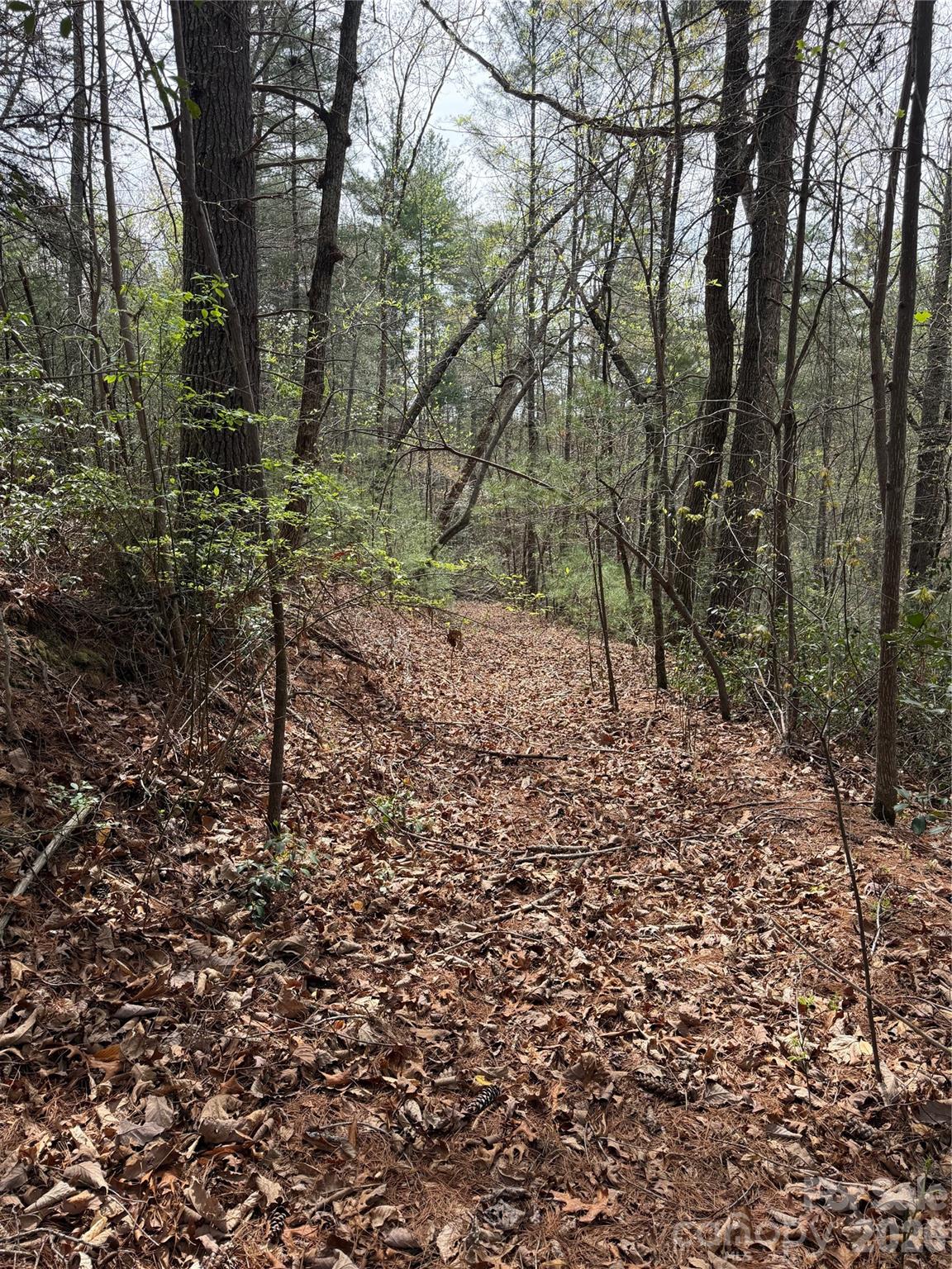 5080 Tucker Drive Morganton NC 28655