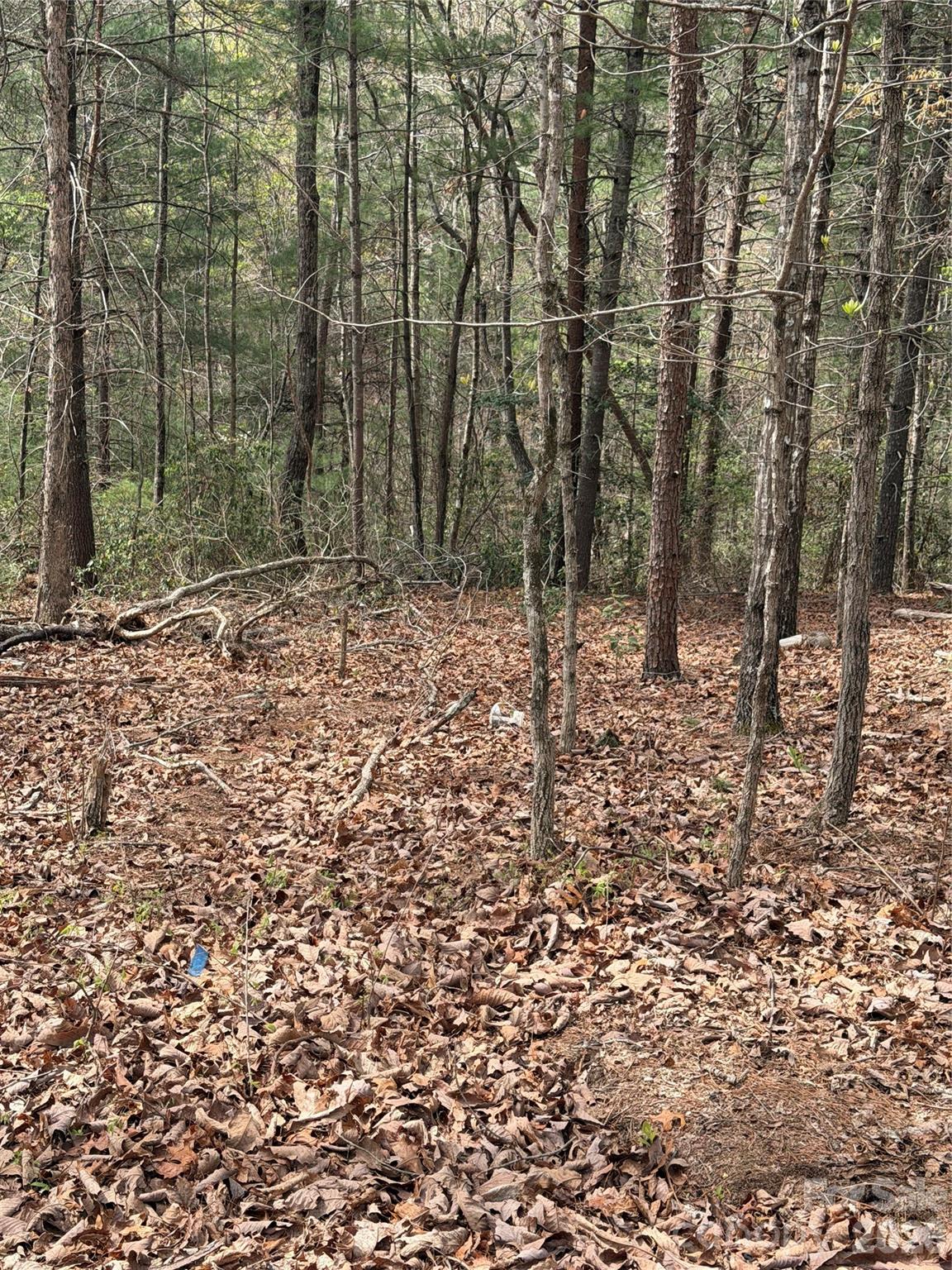 5080 Tucker Drive Morganton NC 28655