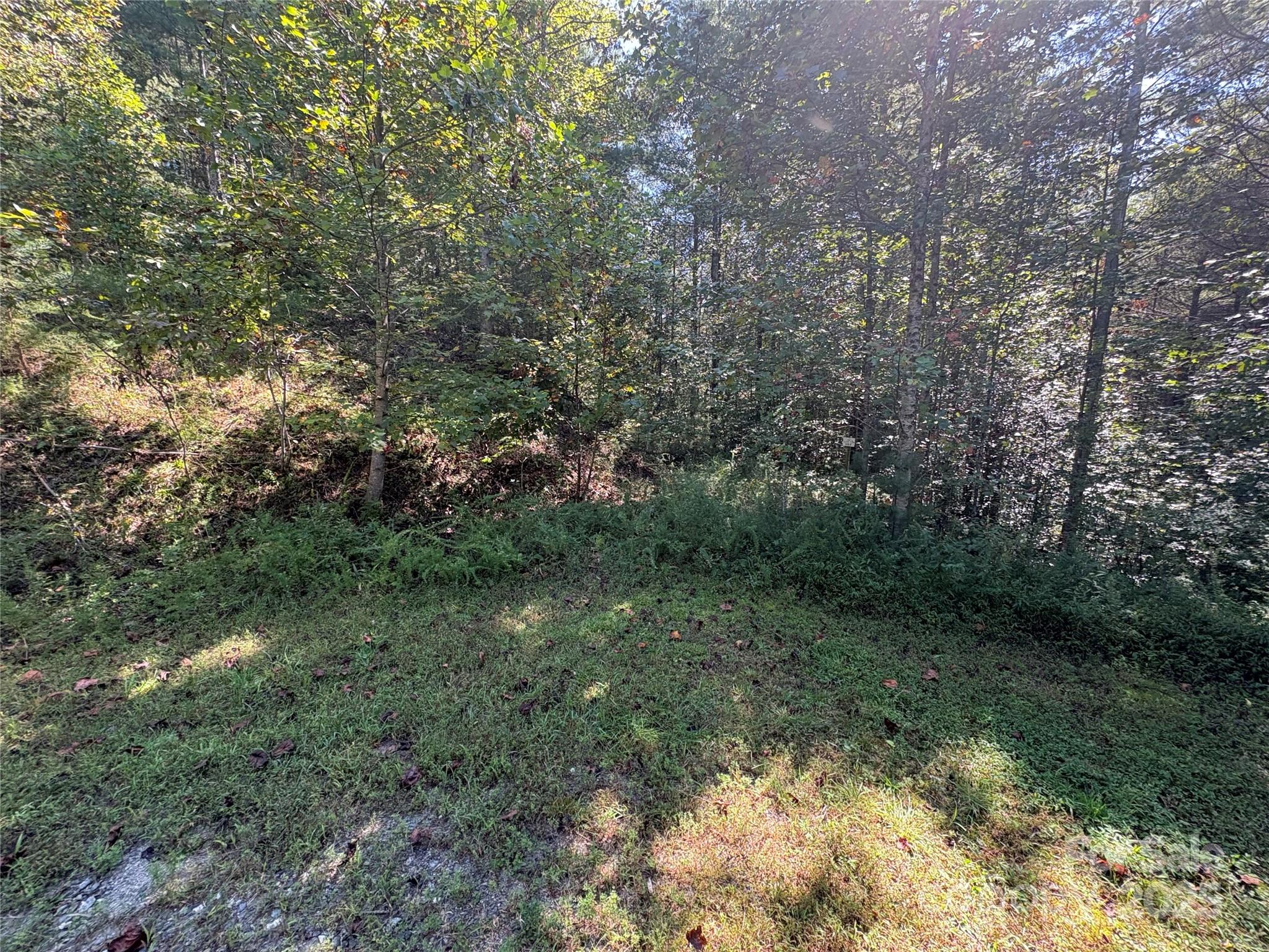 000 National Forest Drive Lenoir NC 28645