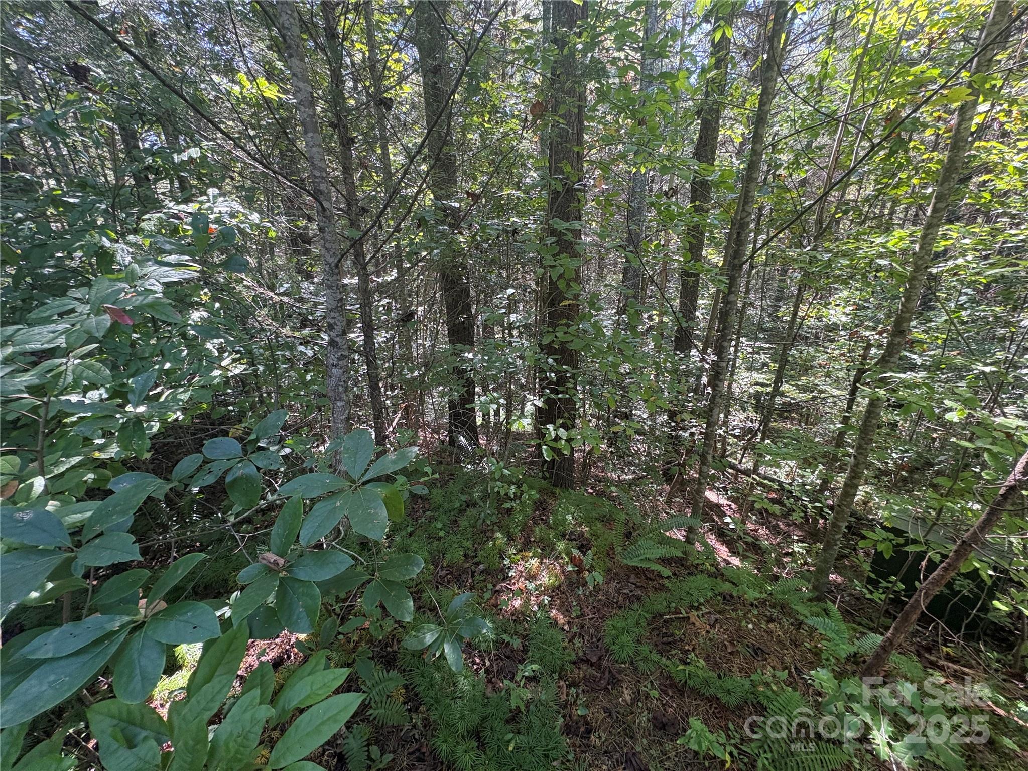 000 National Forest Drive Lenoir NC 28645