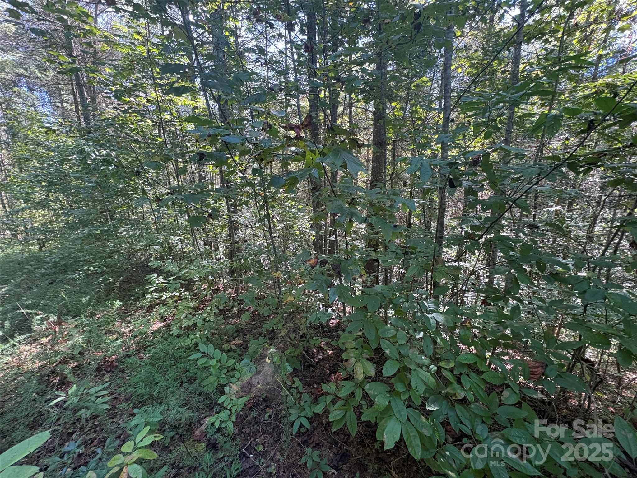 000 National Forest Drive Lenoir NC 28645