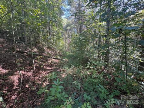 000 National Forest Drive Lenoir NC 28645