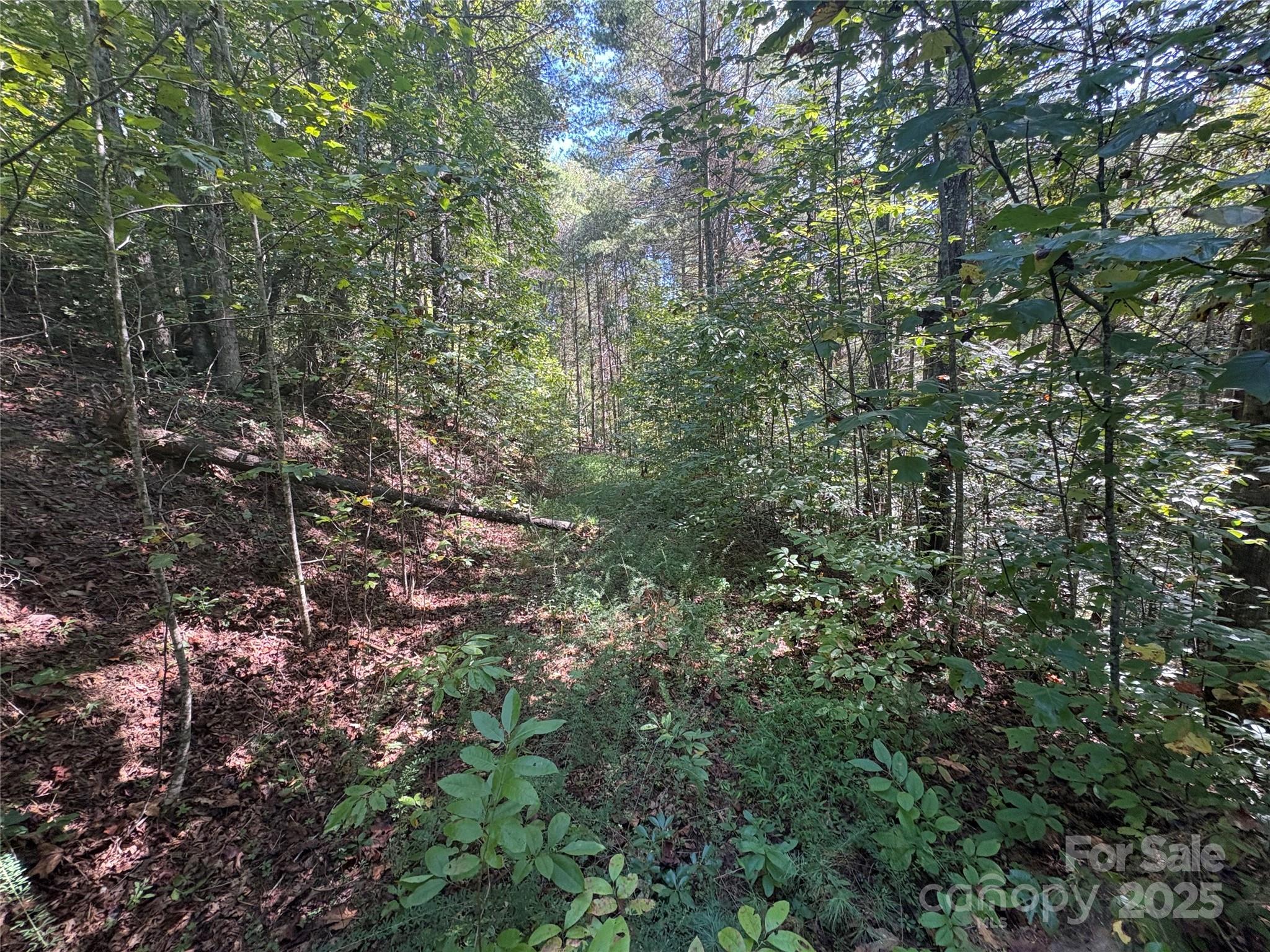 000 National Forest Drive Lenoir NC 28645
