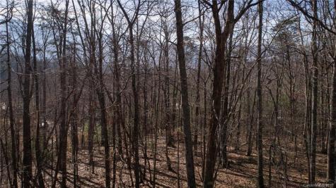 35 Leisure Lane Swannanoa NC 28778
