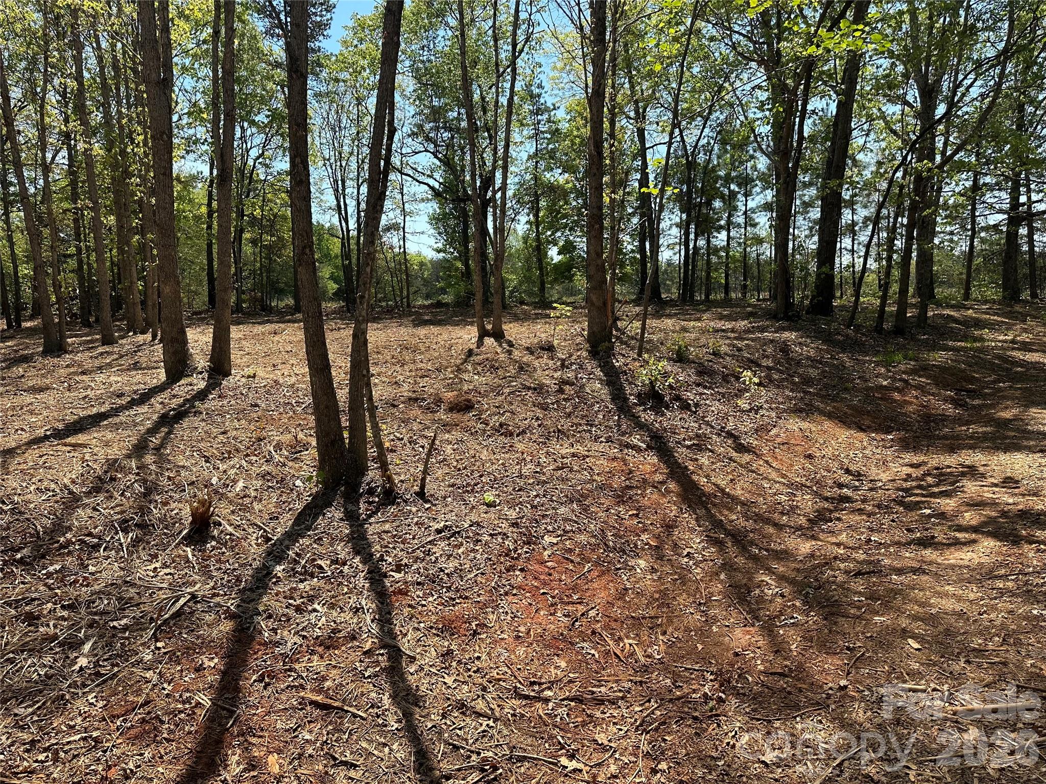 00 Stikeleather Road Hiddenite NC 28636