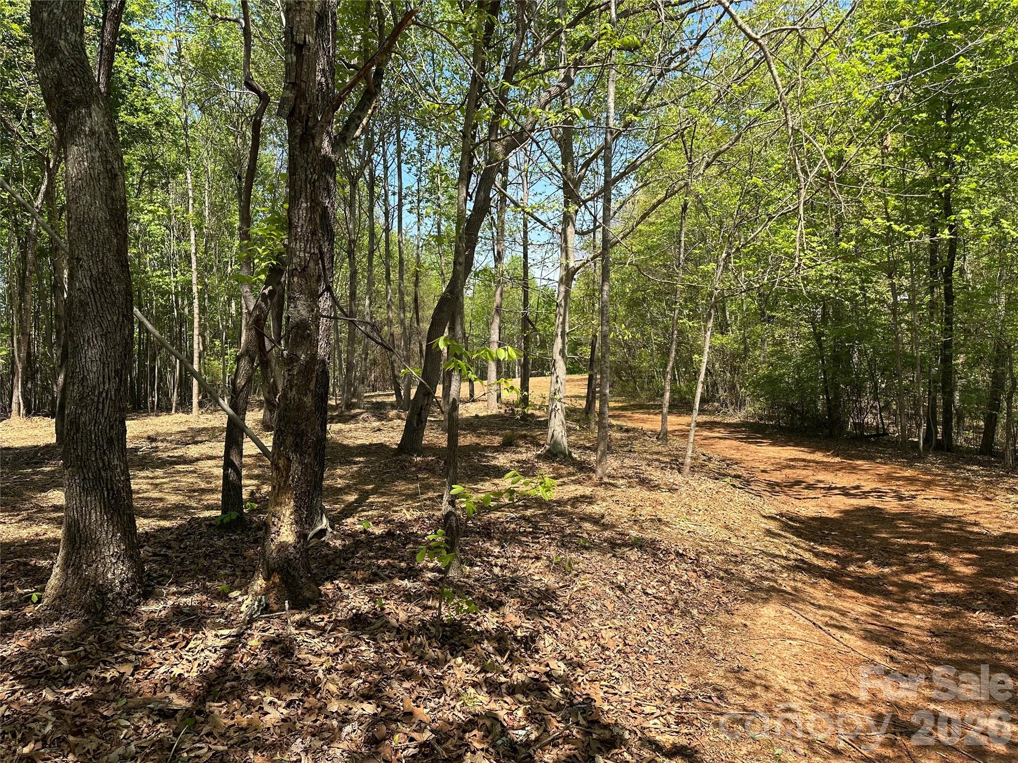 00 Stikeleather Road Hiddenite NC 28636