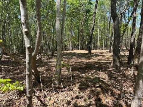 00 Stikeleather Road Hiddenite NC 28636