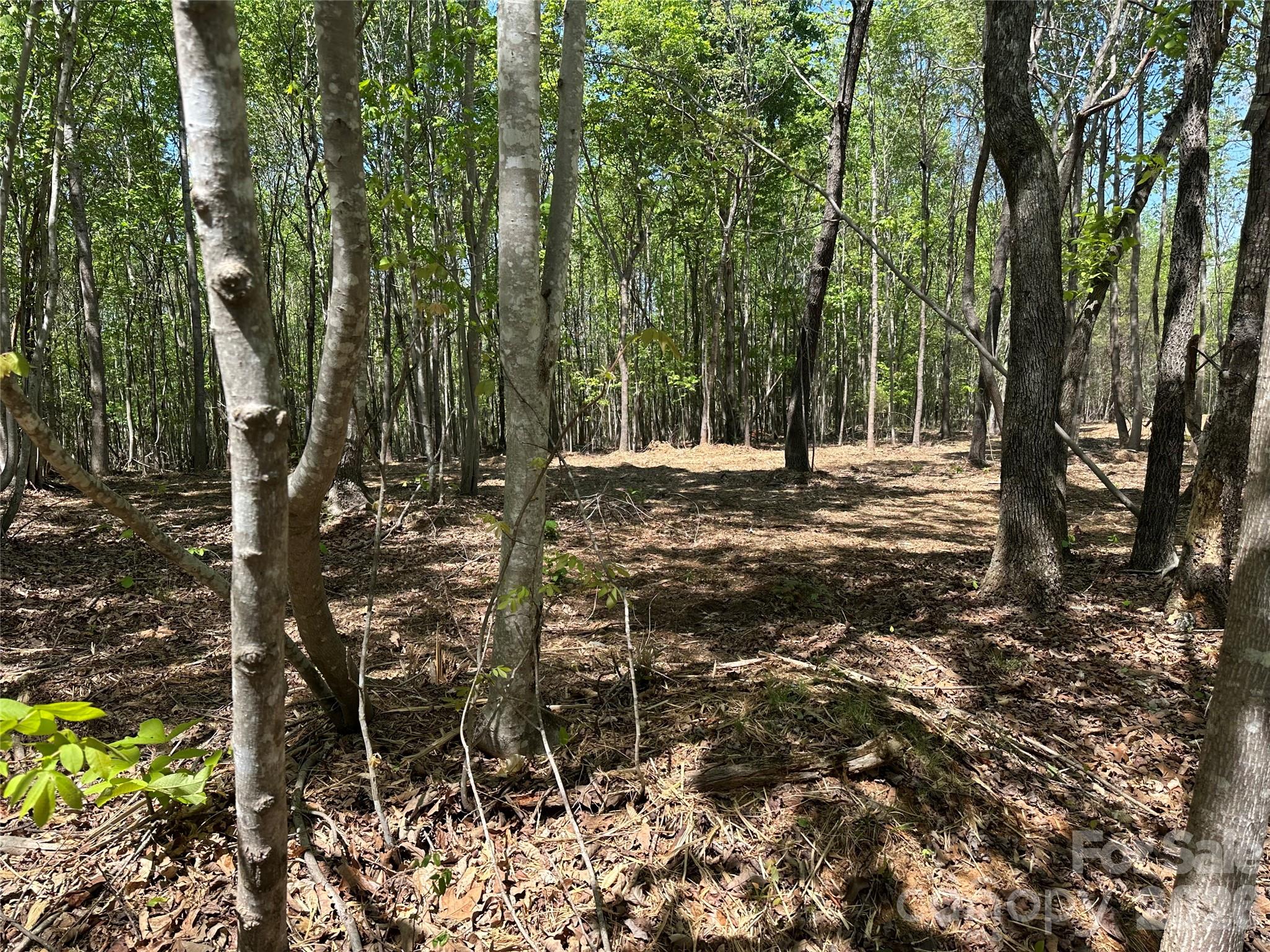 00 Stikeleather Road Hiddenite NC 28636