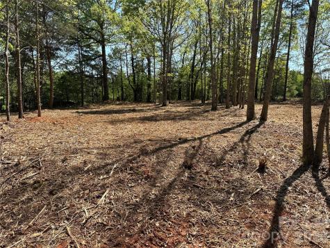 00 Stikeleather Road Hiddenite NC 28636