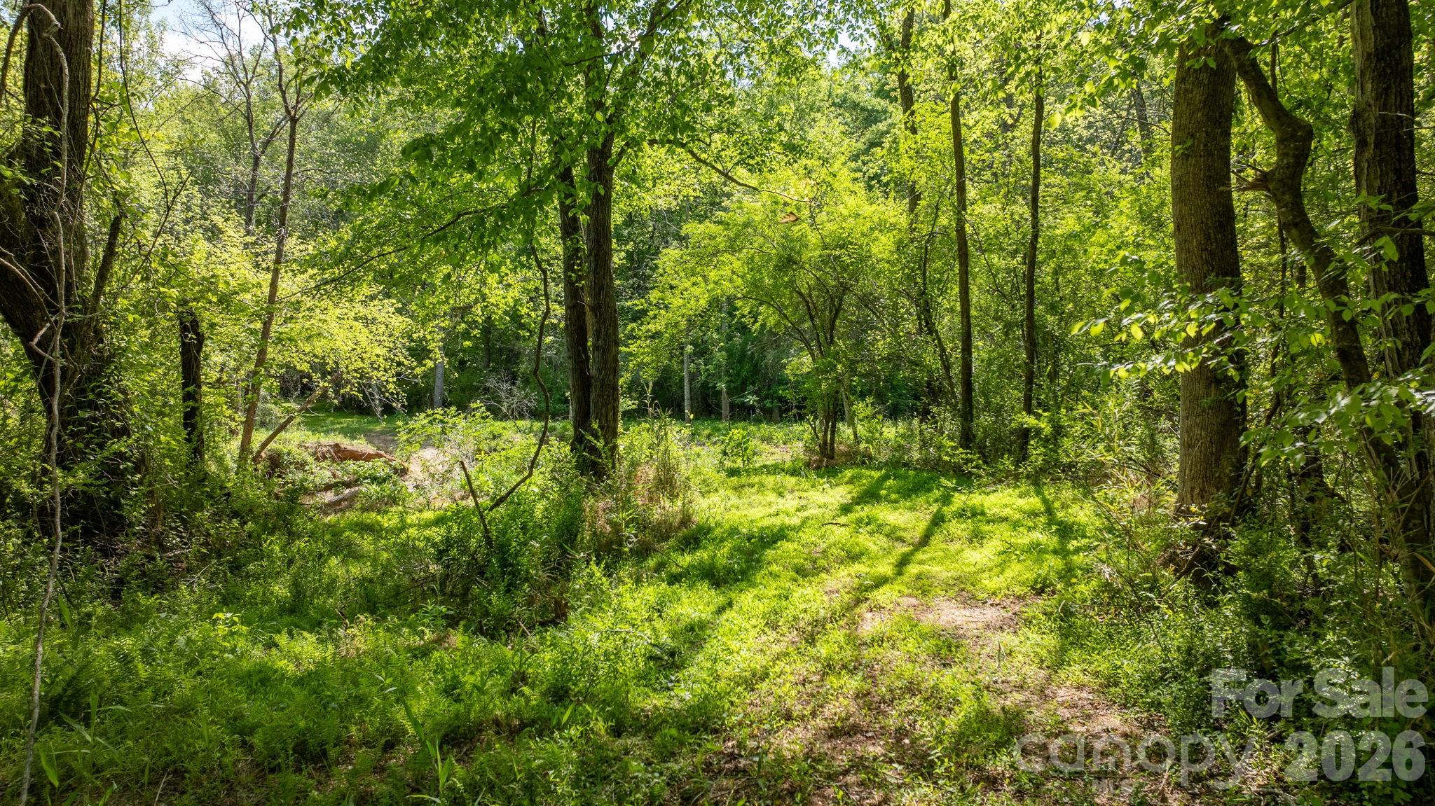 00 Stikeleather Road Hiddenite NC 28636
