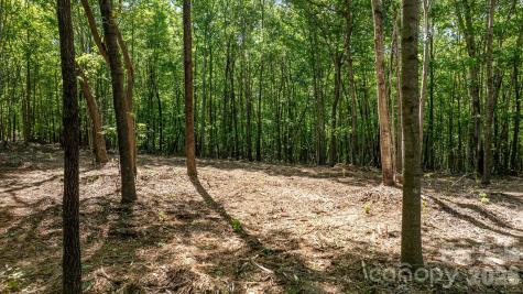 00 Stikeleather Road Hiddenite NC 28636