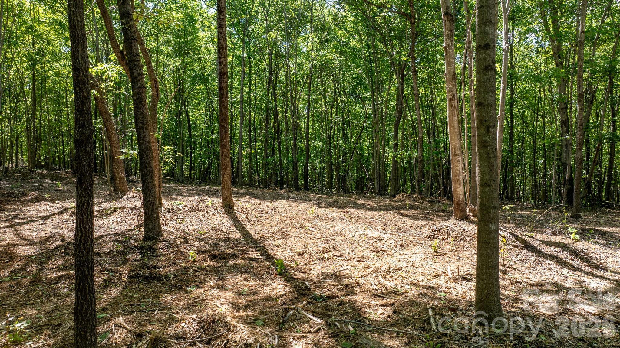 00 Stikeleather Road Hiddenite NC 28636