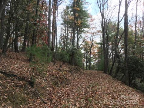 Tbd Lucky Leaf Lane Vilas NC 28692