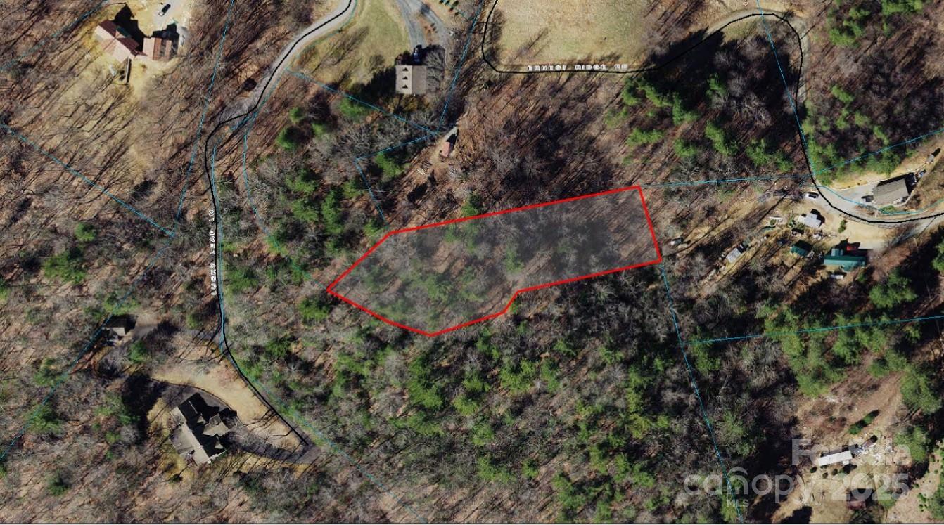 Tbd Lucky Leaf Lane Vilas NC 28692
