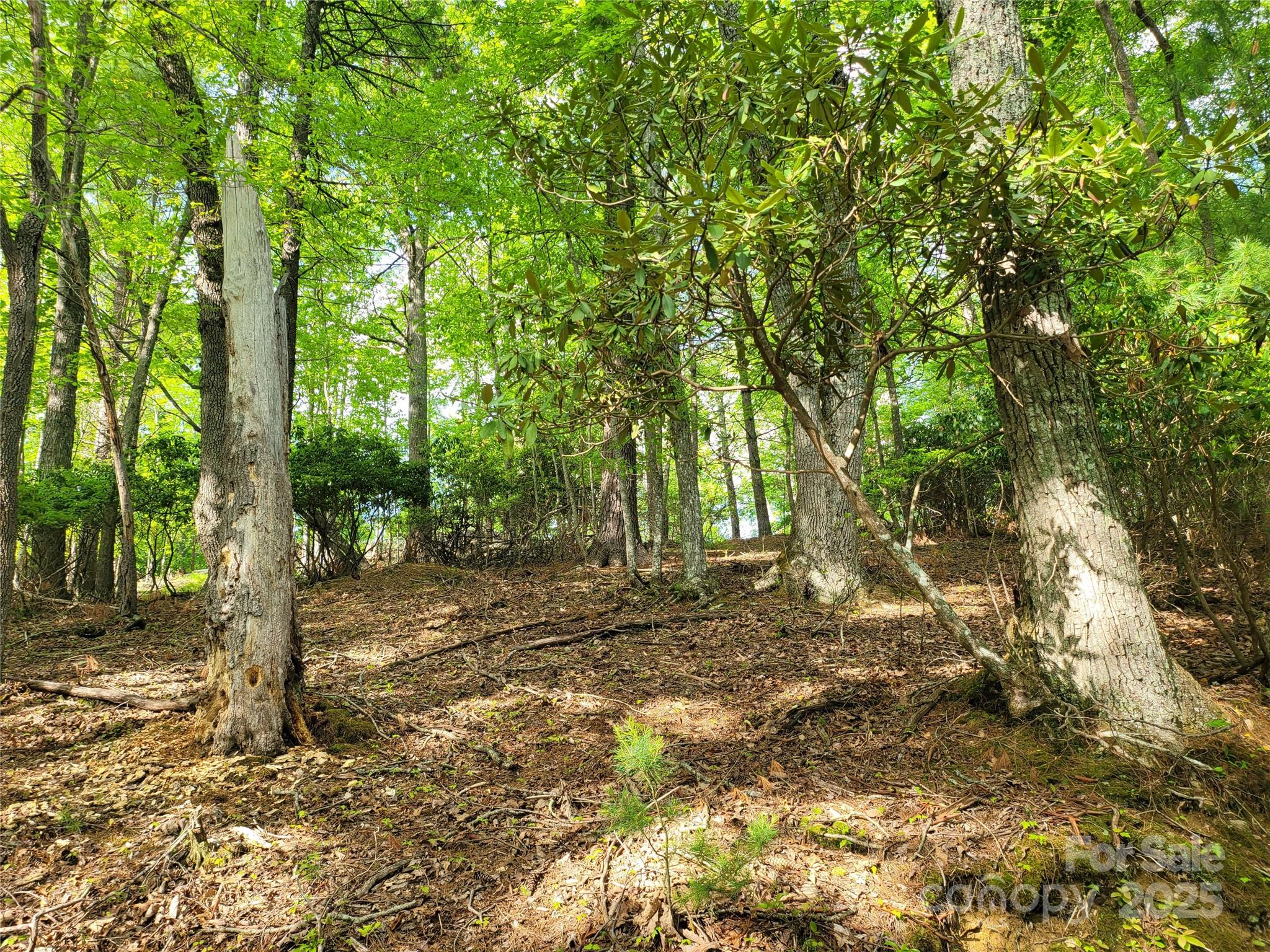 Tbd Lucky Leaf Lane Vilas NC 28692