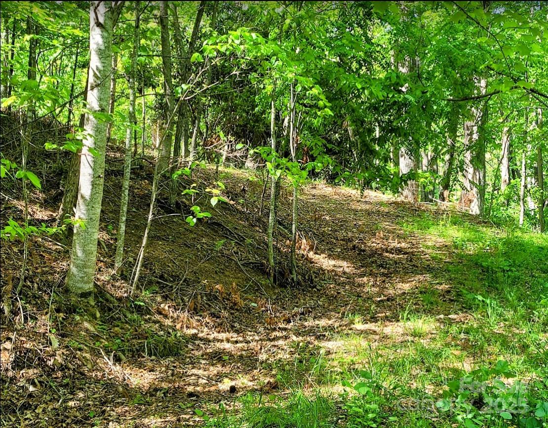 Tbd Lucky Leaf Lane Vilas NC 28692