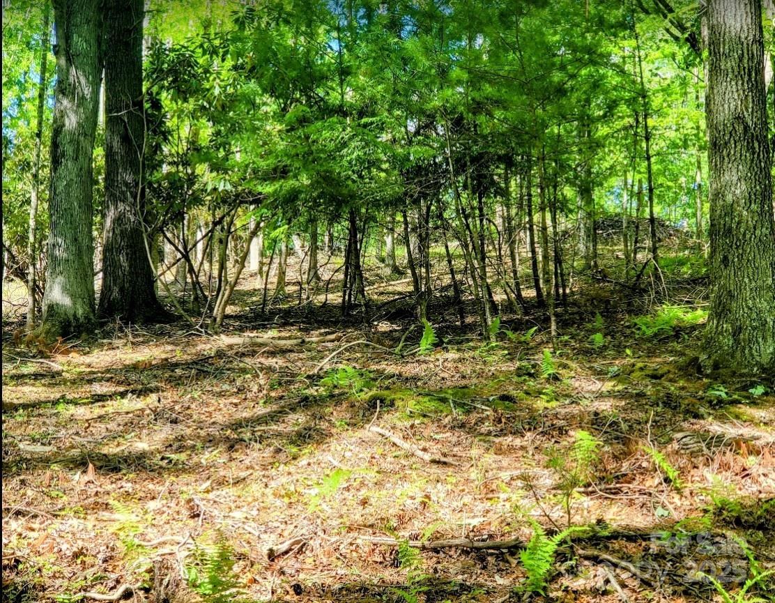 Tbd Lucky Leaf Lane Vilas NC 28692