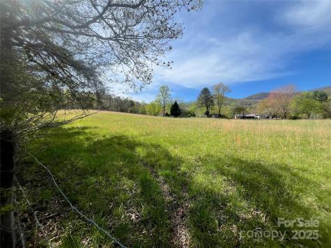 99999 Lollis Road Candler NC 28715