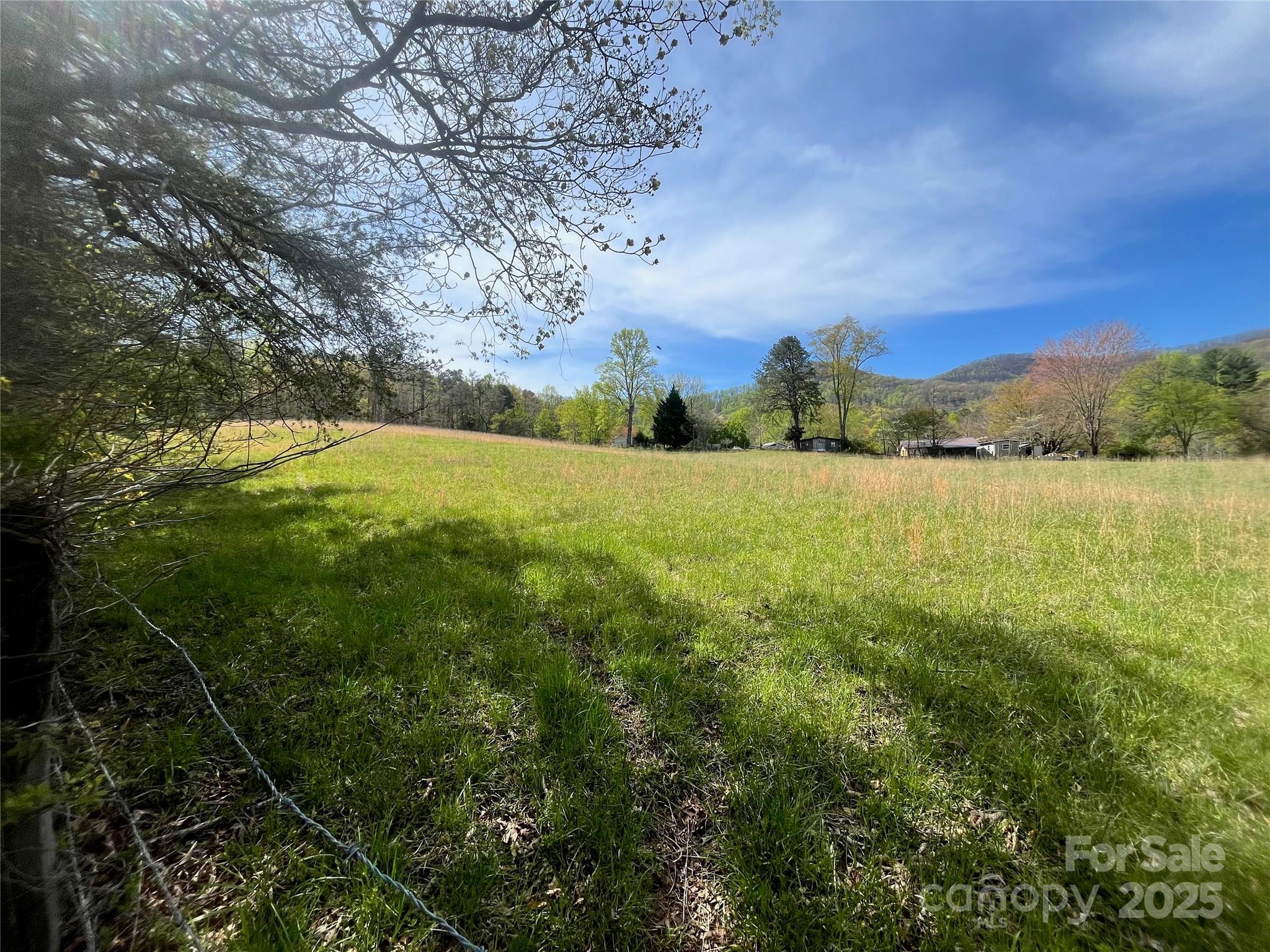 99999 Lollis Road Candler NC 28715