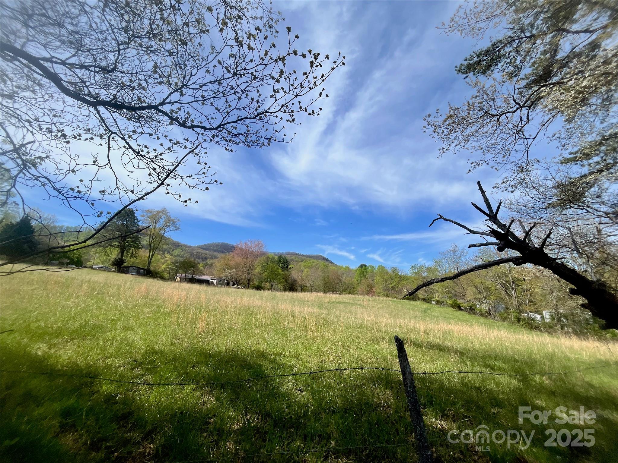 99999 Lollis Road Candler NC 28715
