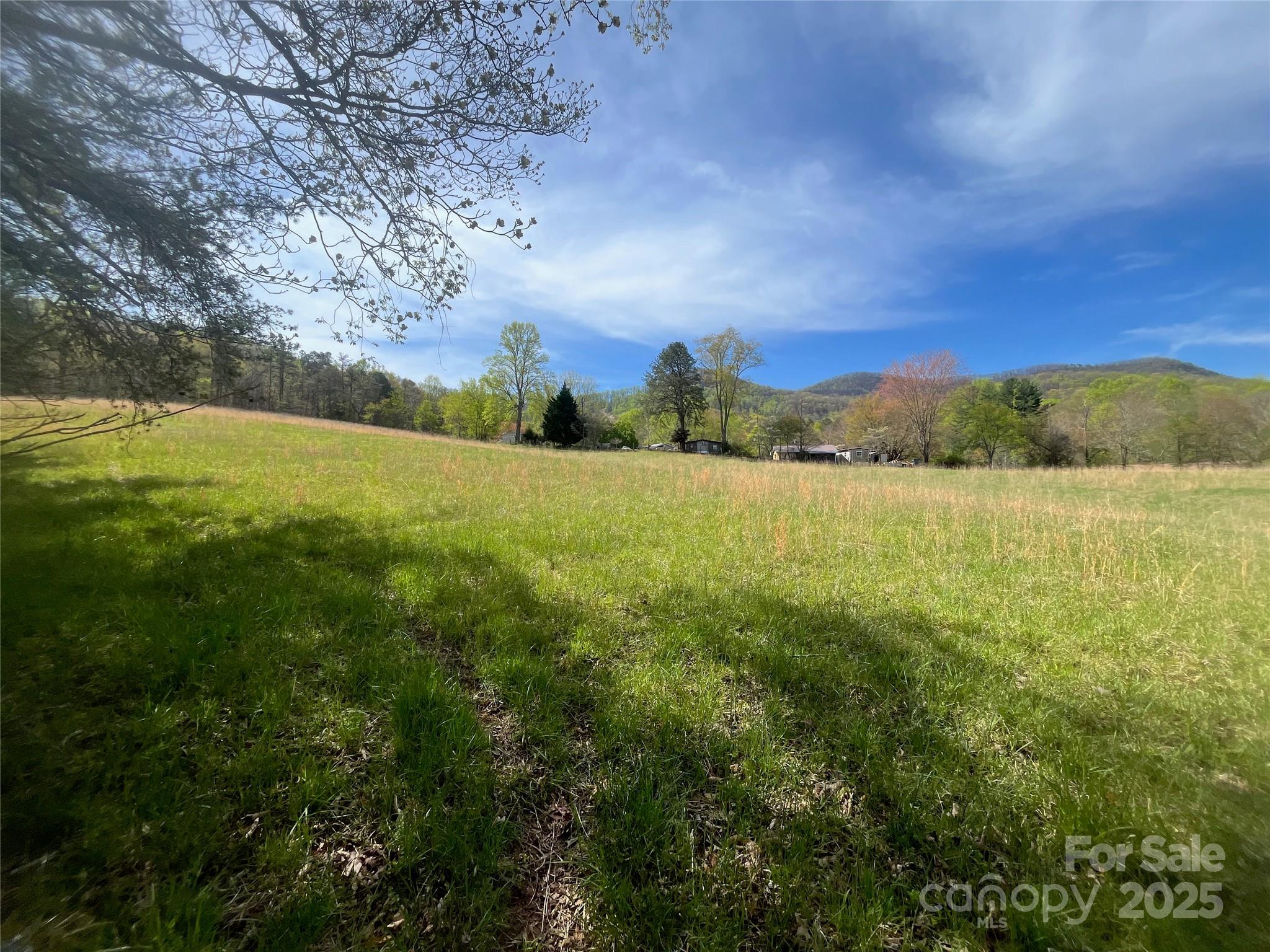 99999 Lollis Road Candler NC 28715