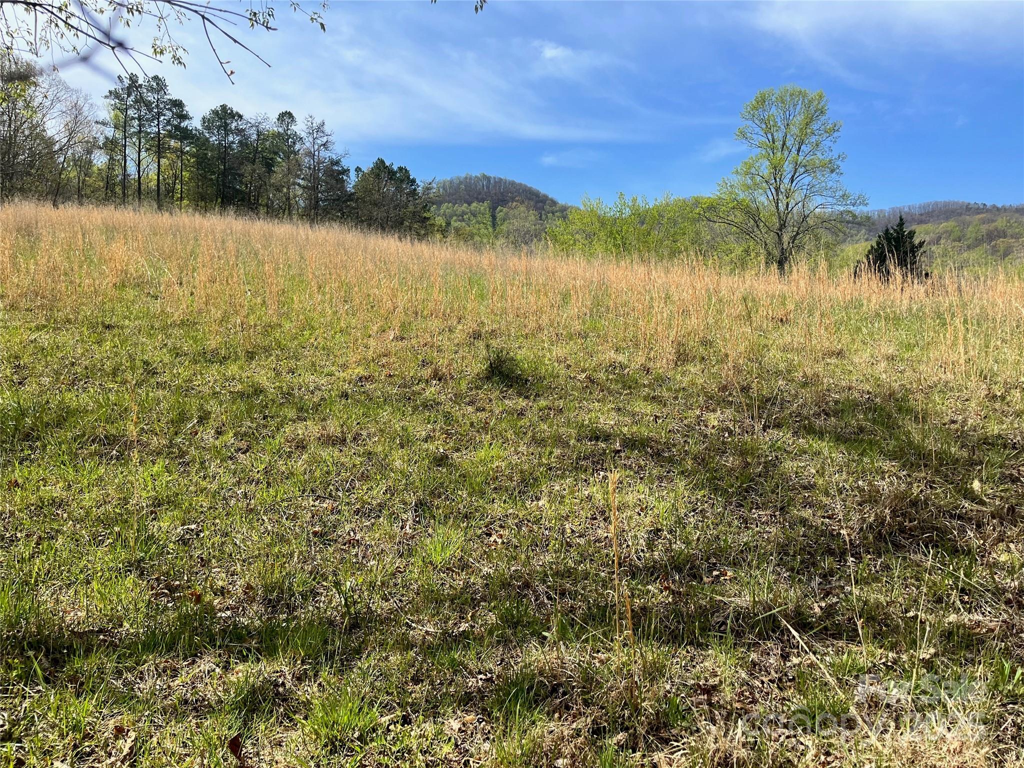 99999 Lollis Road Candler NC 28715