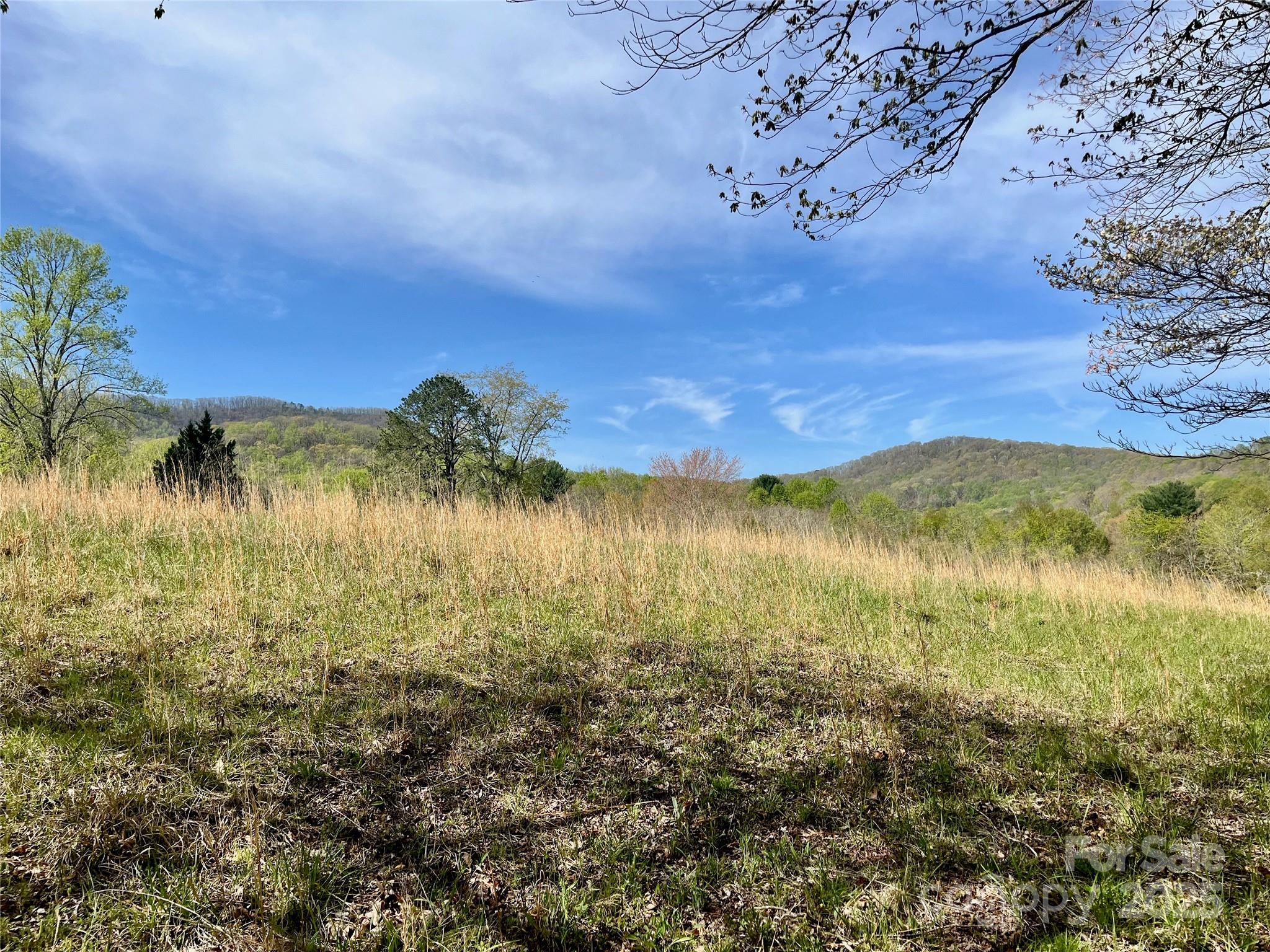 99999 Lollis Road Candler NC 28715