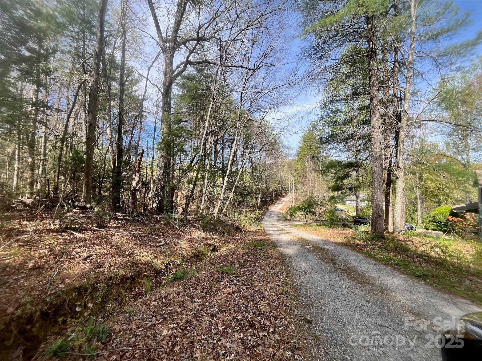 99999 Lollis Road Candler NC 28715