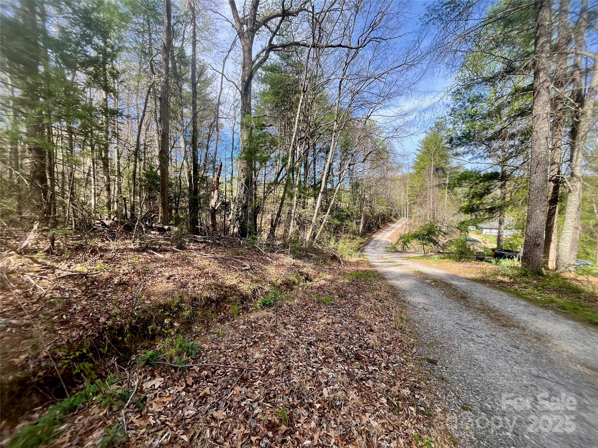 99999 Lollis Road Candler NC 28715