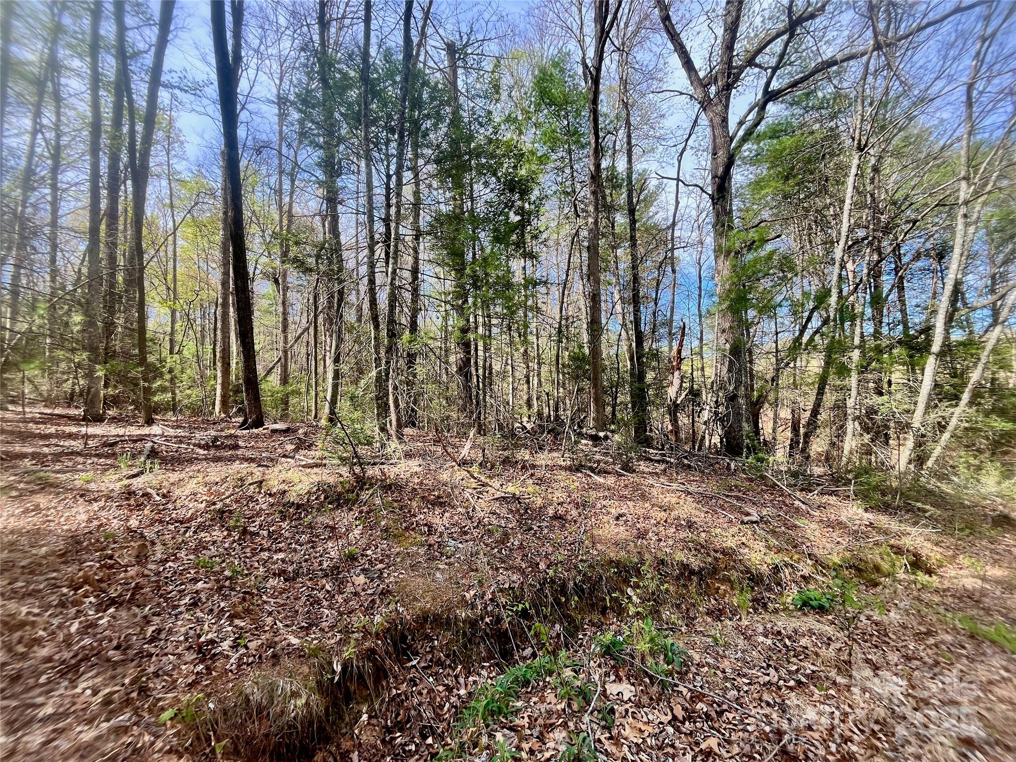 99999 Lollis Road Candler NC 28715