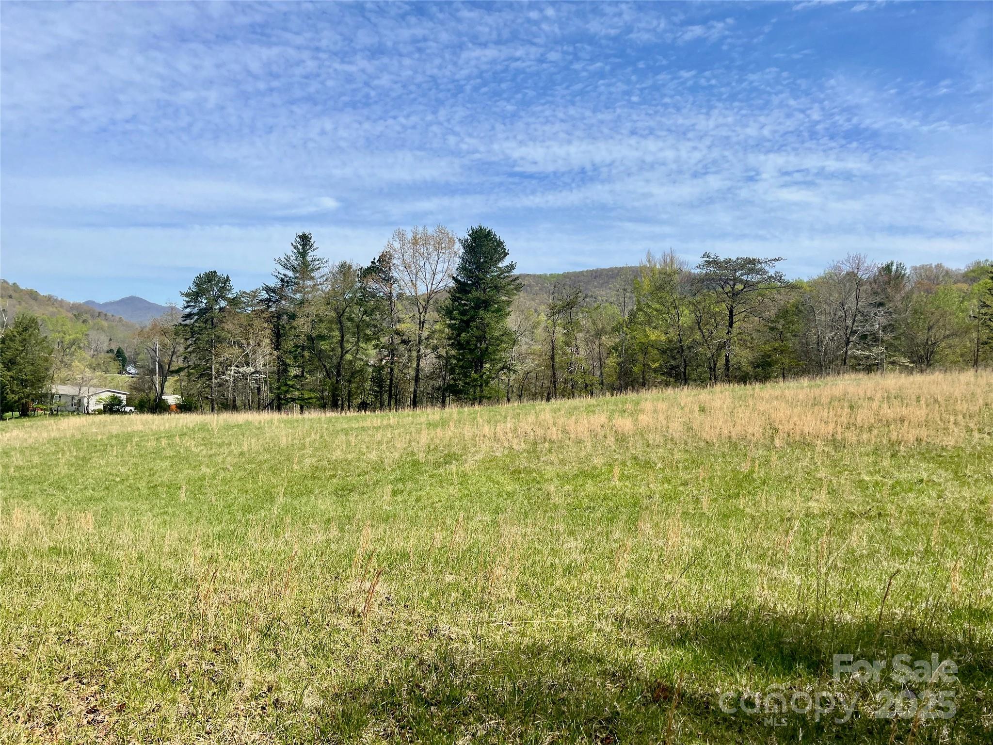 99999 Lollis Road Candler NC 28715
